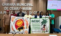 AUDIÊNCIA PÚBLICA