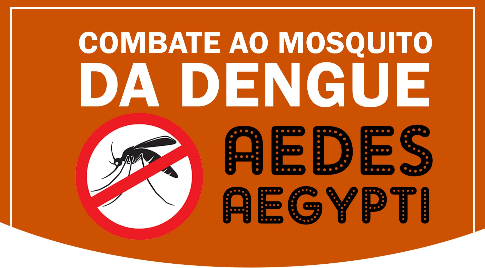 COMBATENDO À DENGUE