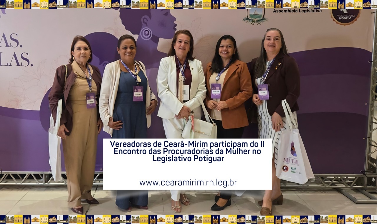  II ENCONTRO DAS PROCURADORIAS DA MULHER